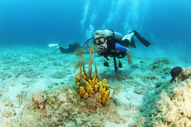 Crete-Chania: Snorkeling & Scuba Dive for Beginners by Boat - What this Chania boat trip is really like