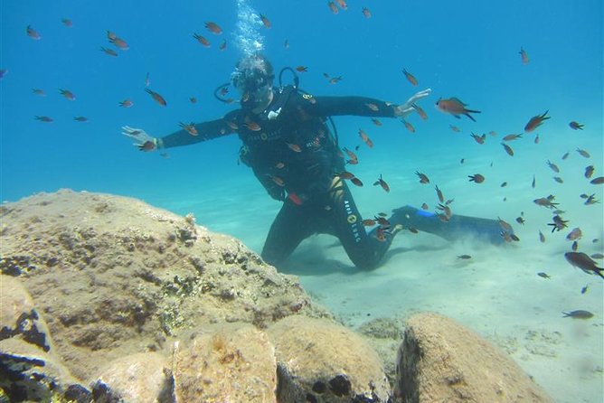 Crete Introductory Scuba Diving Experience - A gentle first step into Crete’s underwater world