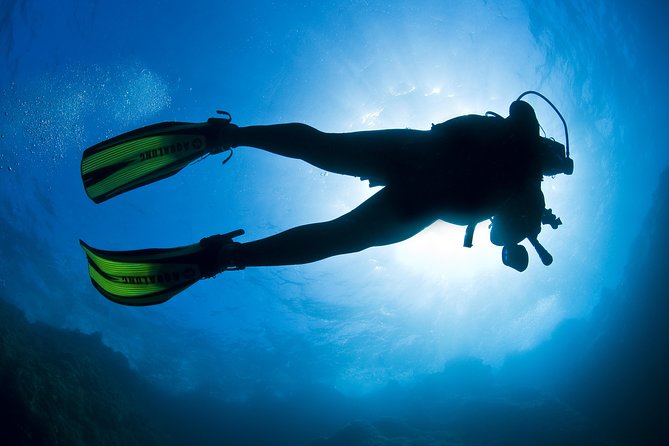 Crete Introductory Scuba Diving Experience - Choosing between Heraklion, Chania, and Rethymno-Georgioupolis