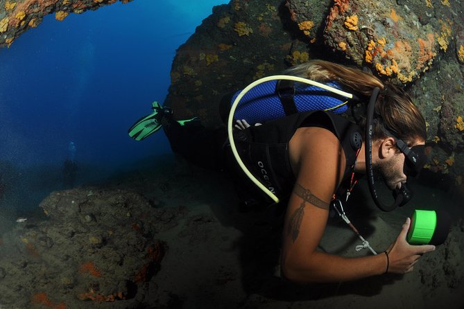 Crete Introductory Scuba Diving Experience - The instructors are central to the experience
