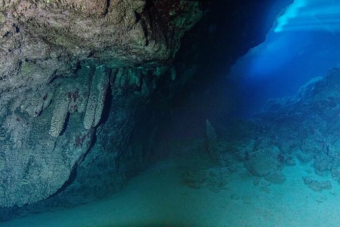 Crete: Scuba Diving for Certified Divers in Chania - What is included, and what you still need