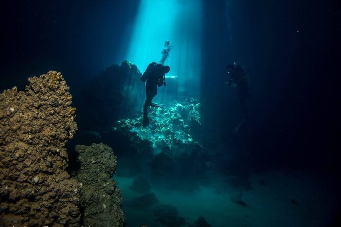 Crete: Scuba Diving for Certified Divers in Chania - Who will get the most from this outing