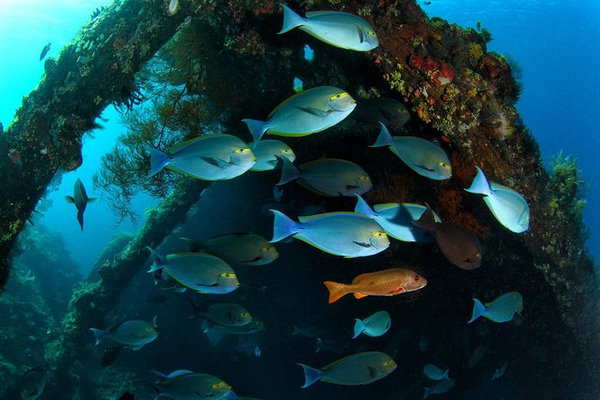 Day Trip certified divers - 3 Dives in Tulamben (pick-up & drop-off included) - Getting ready at the Tulamben center