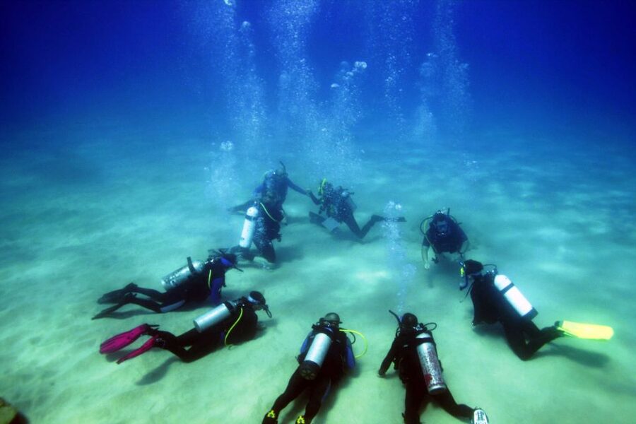 Didim: Scuba Diving Experience w/Hotel Pickup & Lunch - Should you book the Didim scuba experience?