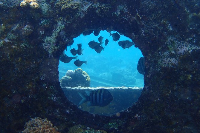 Discover Diving in Curacao - Key points at a glance