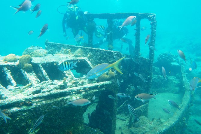 Discover Diving in Curacao - What this Curacao scuba experience is really like