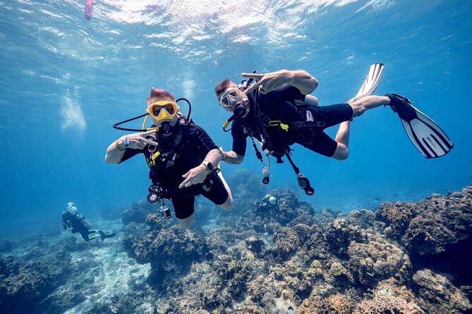 Discover Diving in the Reefs of Cozumel - Why Cozumel works so well for a first scuba lesson
