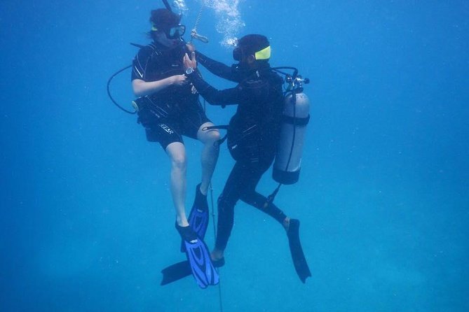 Discover Fajardo: 2-Tank Scuba Diving - A real introduction to scuba, not a sightseeing cruise
