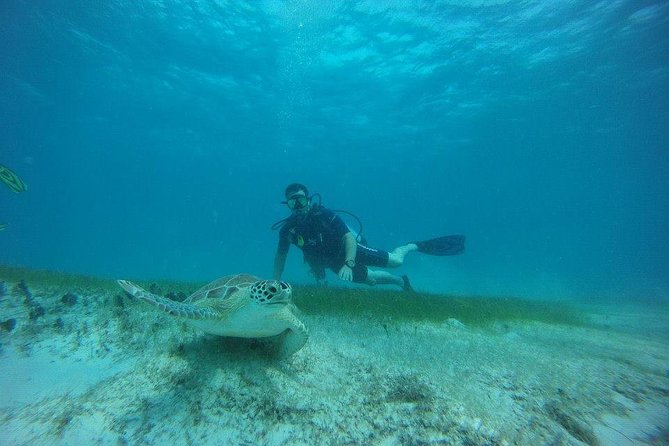 Discover Fajardo: 2-Tank Scuba Diving - Learning the basics before you enter the water