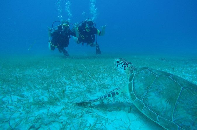 Discover Fajardo: 2-Tank Scuba Diving - Your first underwater session is the confidence builder