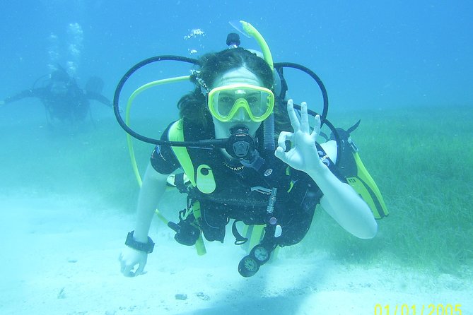 Discover Fajardo: 2-Tank Scuba Diving - The PADI referral form is useful after Puerto Rico