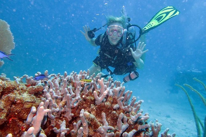 Discover Fajardo: 2-Tank Scuba Diving - The 7:30 a.m. start at Marina Puerto Del Rey