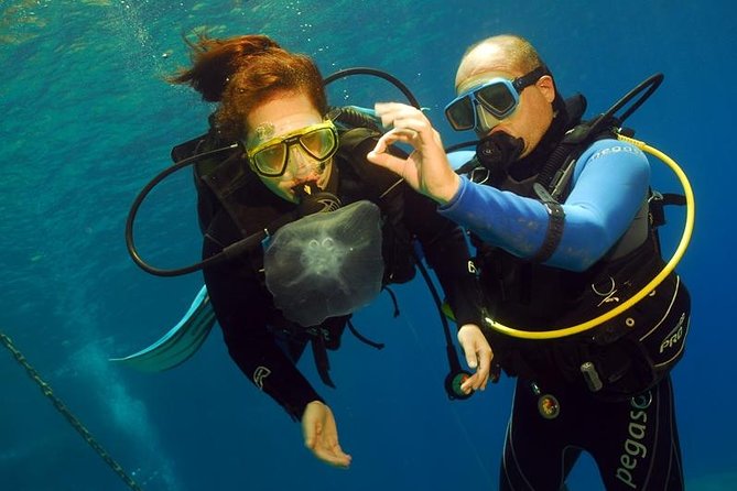 Discover Scuba - Key points to know before you book