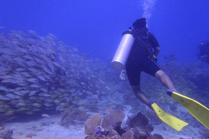 Discover Scuba - Starting at Wet Set in Puerto Morelos at 9 a.m.