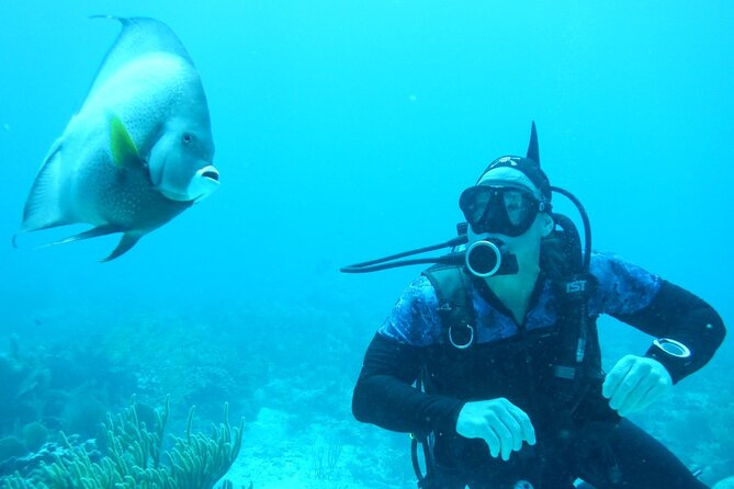 Discover Scuba - Why the second session can be worth the extra cost