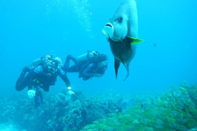 Discover Scuba - What to bring, and what to leave at home