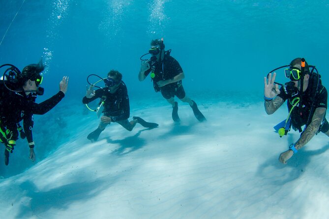 Discover Scuba Dive in Curacao - What the $125 price really covers