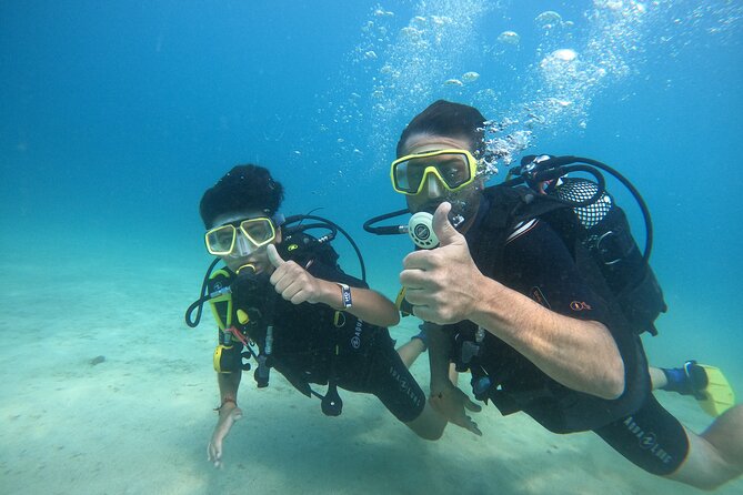 Discover Scuba Dive in Gran Canaria - Meeting Gran Canaria’s coastal wildlife