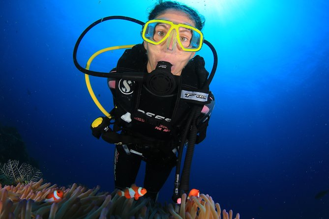 Discover Scuba Diving - The reef experience, without a boat day