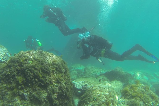 Discover Scuba Diving - Family suitability and age limits
