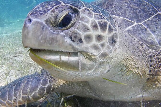 Discover Scuba Diving - Who will get the most from this experience?
