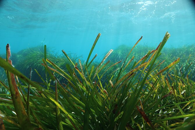 Discover Scuba Diving Amathounta's Ancient Port - Who will enjoy this most?