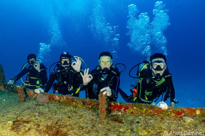Discover Scuba Diving at Cozumel Marine Park - Two shallow sessions in Cozumel Marine Park