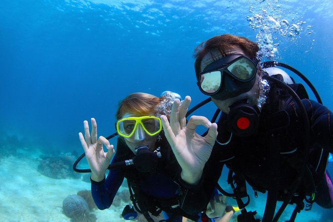 Discover Scuba Diving & Beach Club with Transportation In Riviera Maya - Three steps under the surface