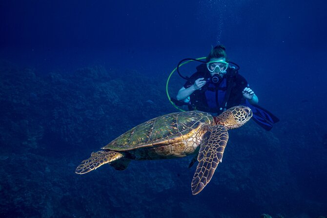 Discover Scuba Diving Class from Lahaina - Key points to know before you book