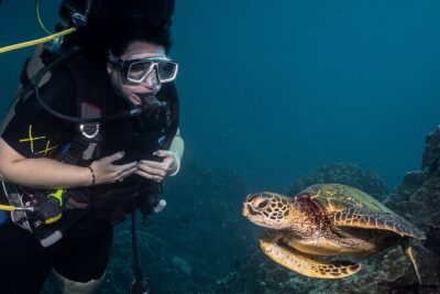Discover Scuba Diving Class from Lahaina