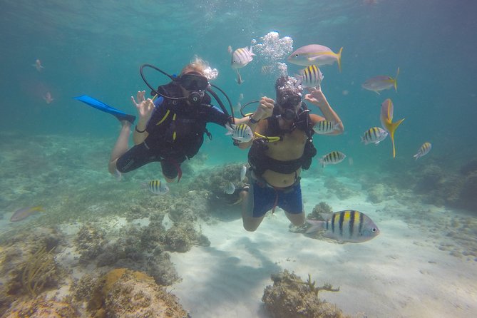 Discover Scuba Diving - DSD - Weather, timing, and cancellation rules