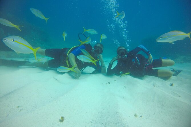 Discover Scuba Diving - DSD - Who should book this experience