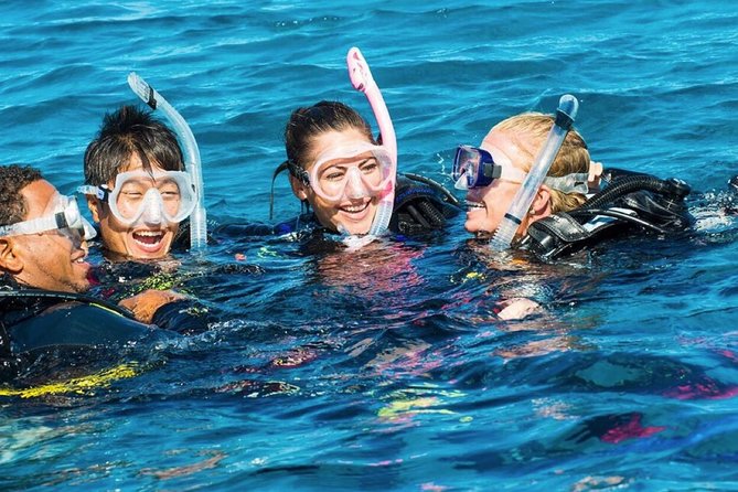 Discover Scuba Diving Experience - Key points to know before booking