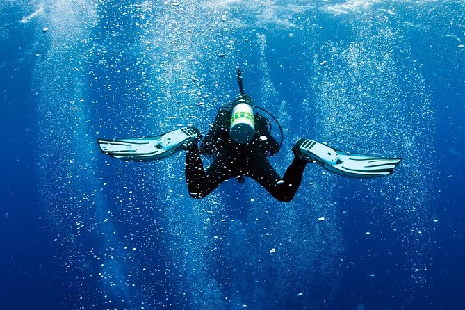 Discover Scuba Diving Experience - Green Bay turns a first lesson into a real sea experience
