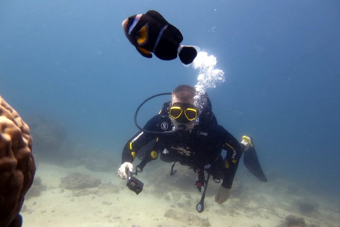 Discover Scuba Diving Experience - Why the small group size matters