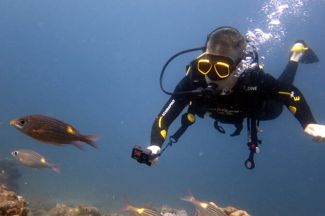 Discover Scuba Diving Experience - Who should book this Cyprus experience