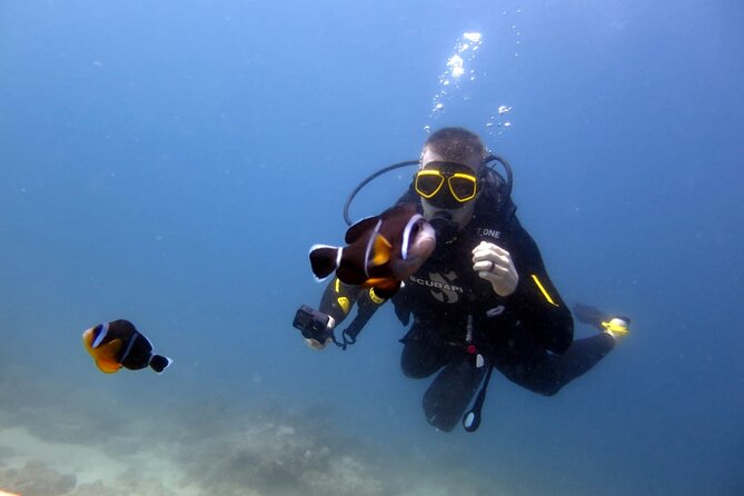 Discover Scuba Diving Experience - The 15-minute online lesson