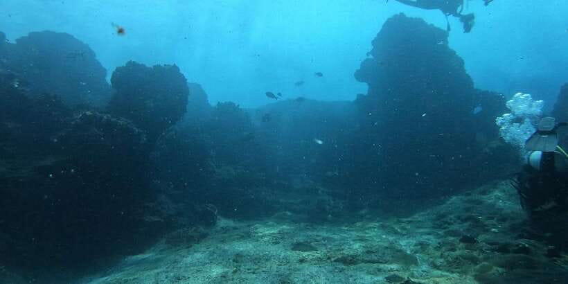 Discover Scuba Diving : Hikkaduwa : Scuba Diving - The Hikkaduwa open-water session