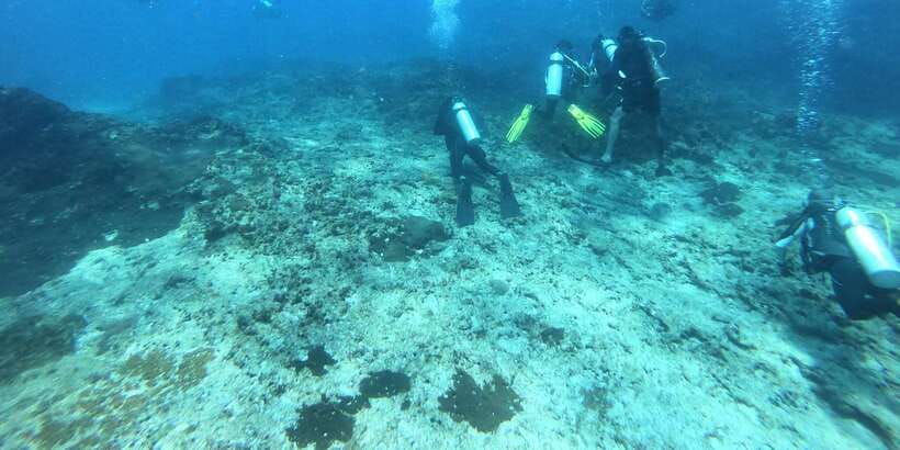 Discover Scuba Diving : Hikkaduwa : Scuba Diving - Learning to breathe underwater before open water