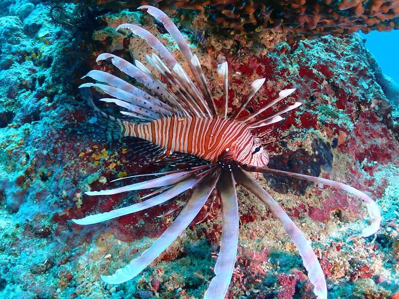 Discover Scuba Diving in Boracay - Getting ready at White Beach