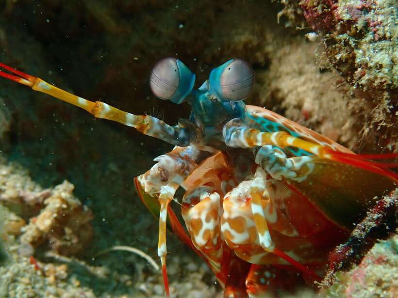 Discover Scuba Diving in Boracay - What to bring and how to prepare