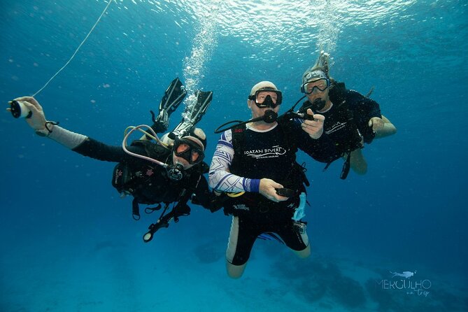 Discover Scuba Diving in Cozumel - The 3 to 4 foot practice area