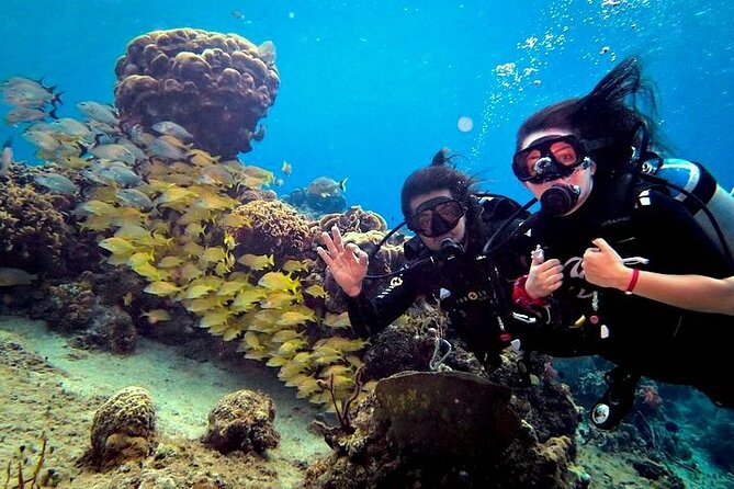 Discover Scuba Diving in Cozumel Paradise Reef - The second session offers more reef time