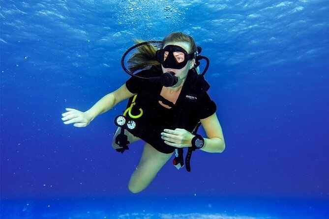 Discover Scuba Diving in Cozumel Paradise Reef - Timing is the main issue for cruise passengers