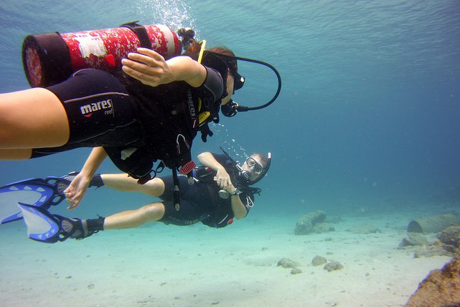 Discover Scuba Diving in Curacao - Starting at 8:15 am in Jan Thiel