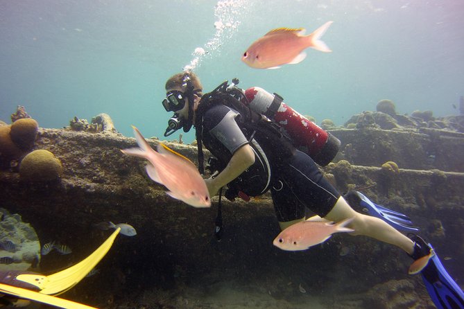 Discover Scuba Diving in Curacao - Getting fitted with a full scuba set