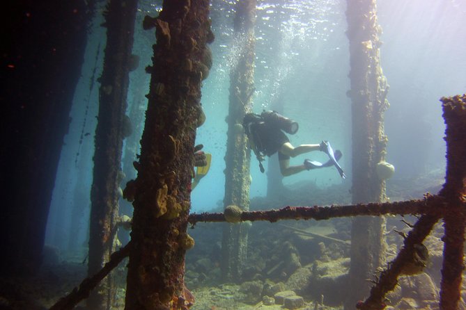 Discover Scuba Diving in Curacao - Who will get the most from this activity