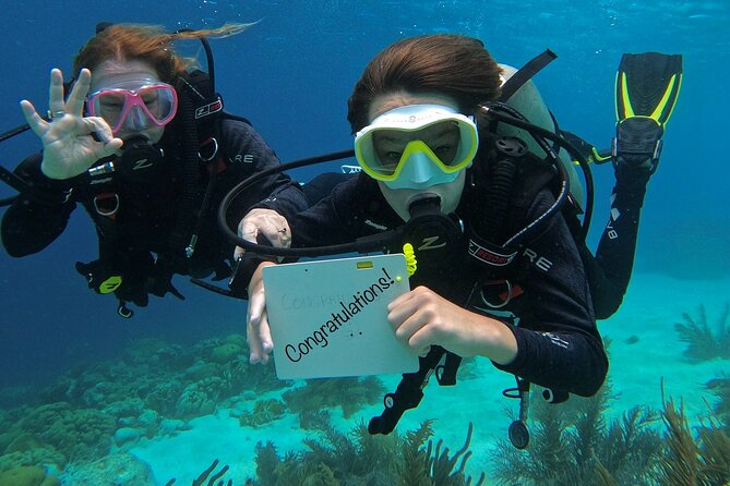 Discover Scuba Diving in Diver's Paradise! - Key points at a glance