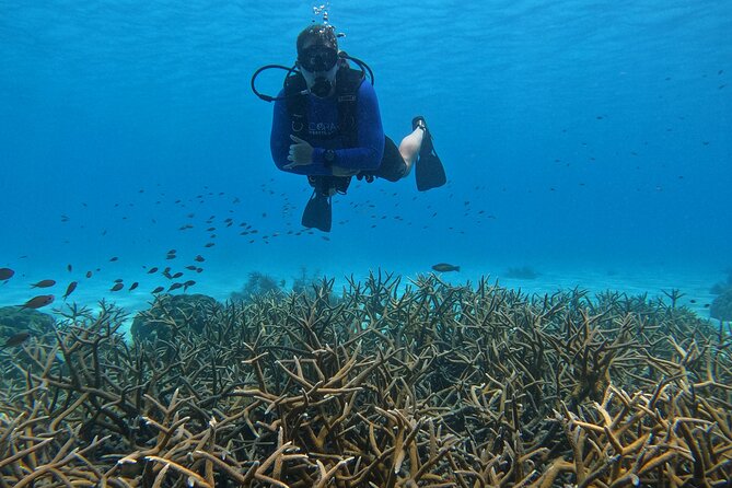 Discover Scuba Diving in Diver's Paradise! - How private is the experience?