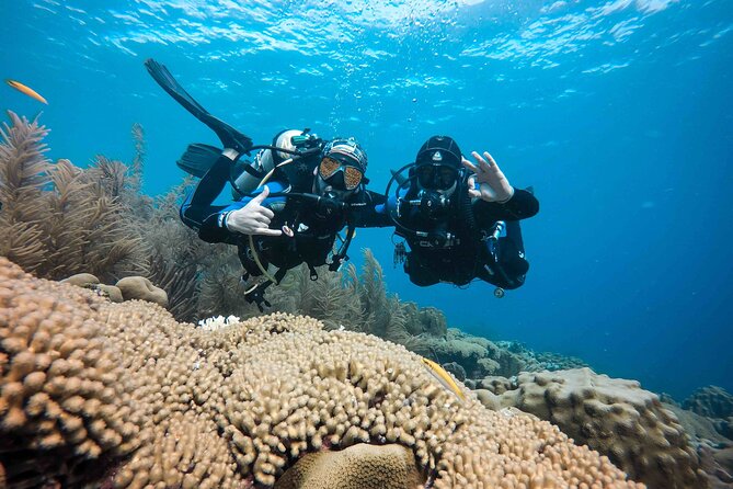 Discover Scuba Diving in Diver's Paradise! - The 9:00 am pickup and start of the day